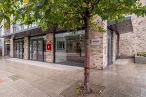 Photo 12- click for photo gallery